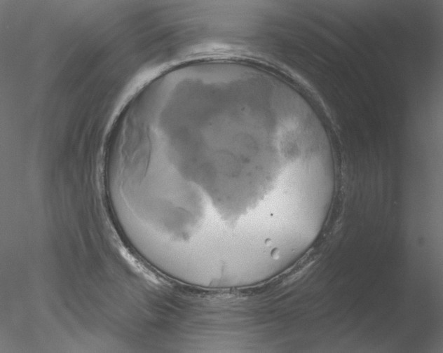 X0000076381421200611031618