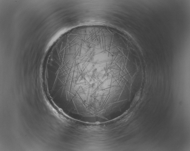 X0000076381422200611031618