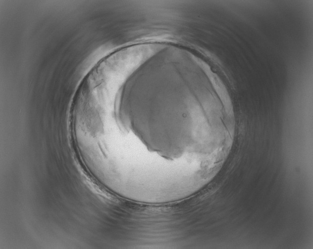 X0000076381423200611031618