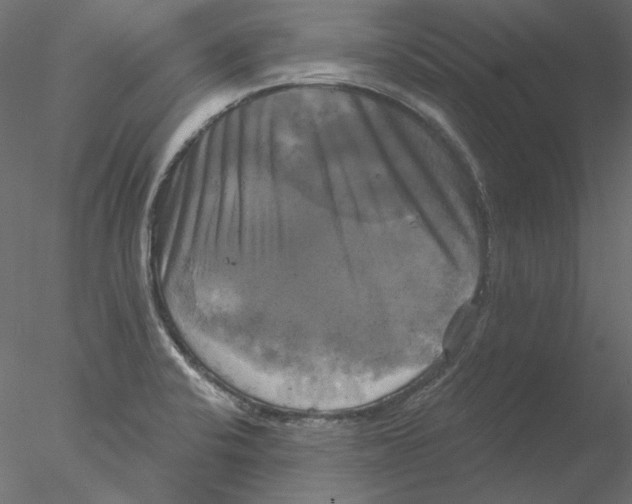 X0000076381424200611031618