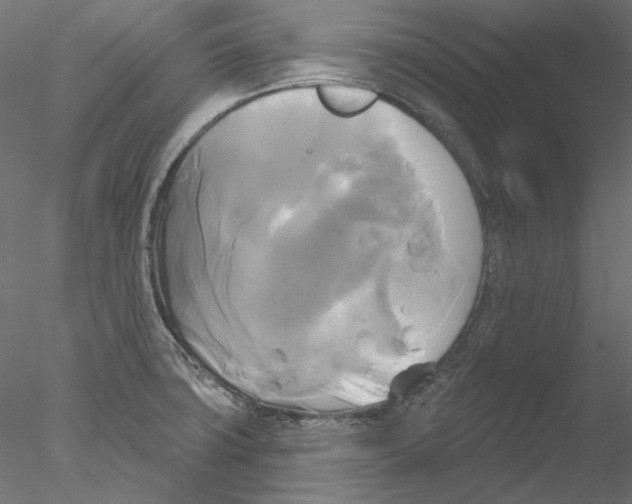 X0000076381427200611031618