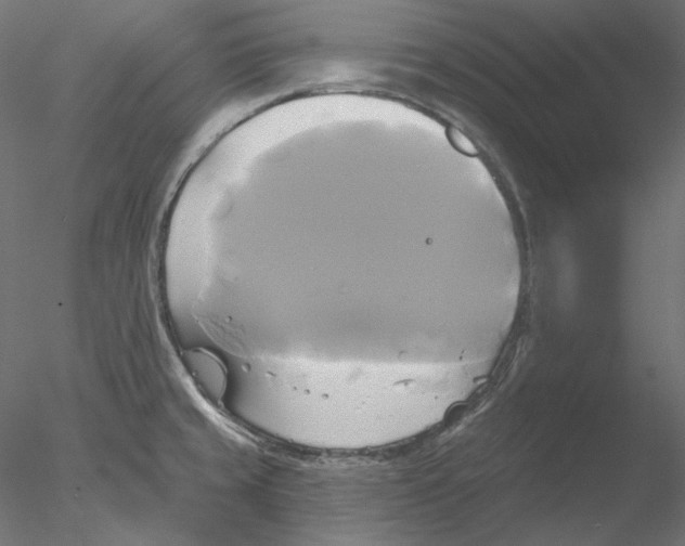 X0000076381429200611031618