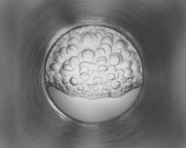 X0000076381432200611031618