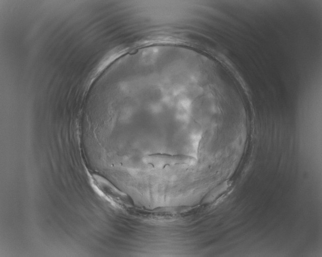 X0000076381433200611031618