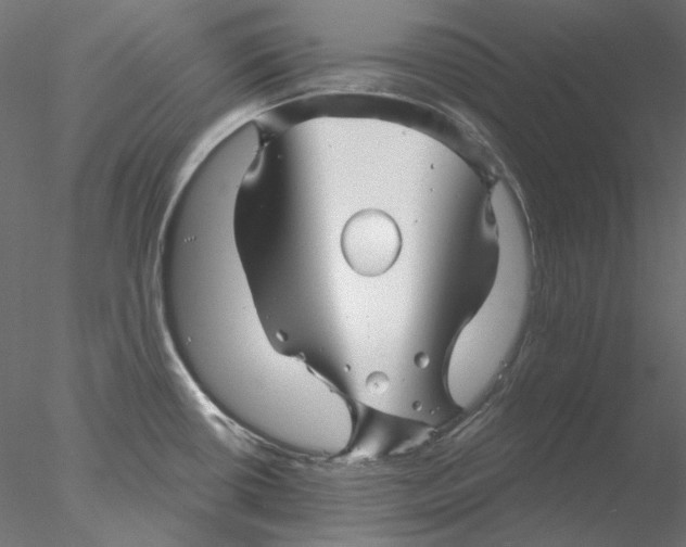 X0000076381434200611031618