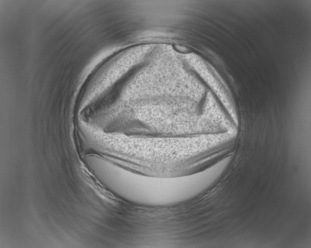 X0000076381435200611031618