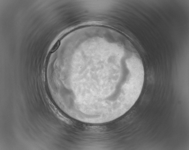 X0000076381436200611031618