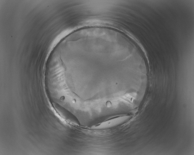 X0000076381437200611031618