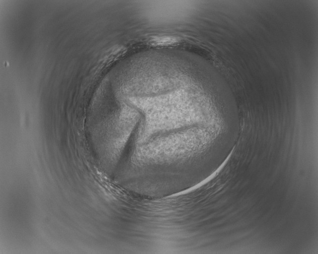 X0000076381441200611031617