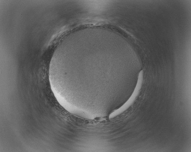 X0000076381447200611031617