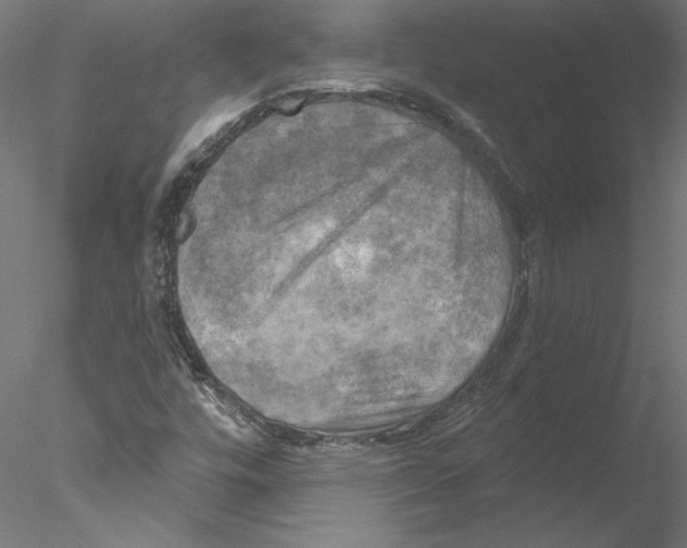 X0000076381448200611031617