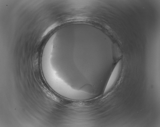 X0000076381450200611031617