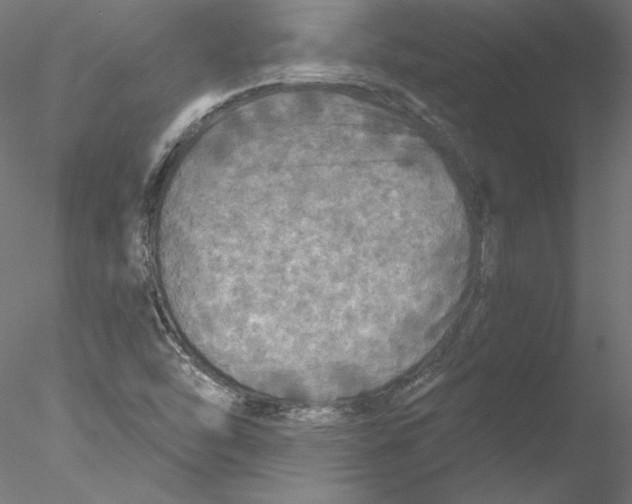 X0000076381454200611031617