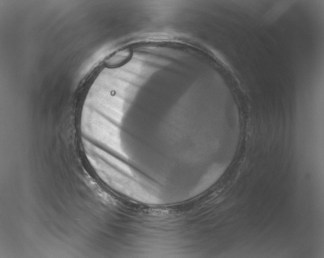 X0000076381456200611031617