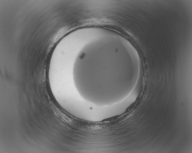 X0000076381459200611031617