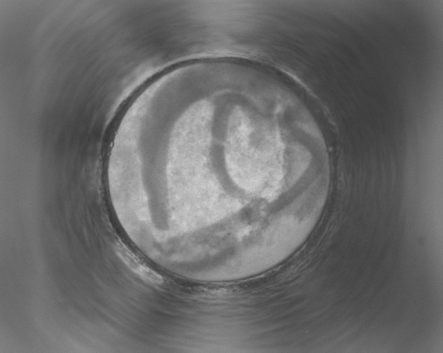 X0000076381460200611031617