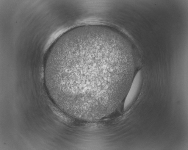 X0000076381461200611031617