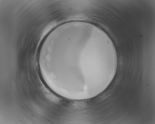 X0000076381466200611031617