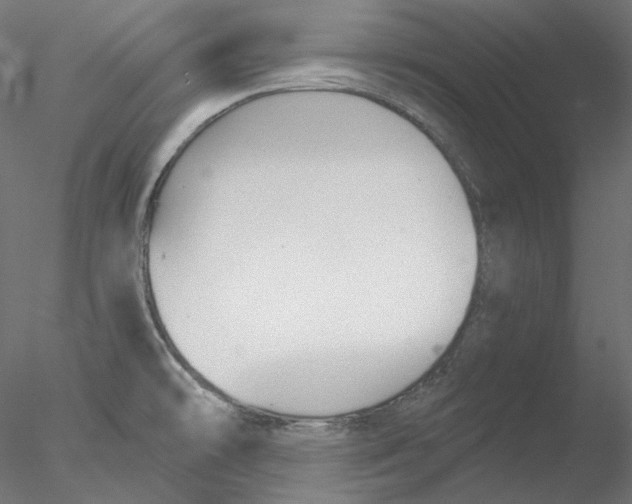 X0000076381478200611031616