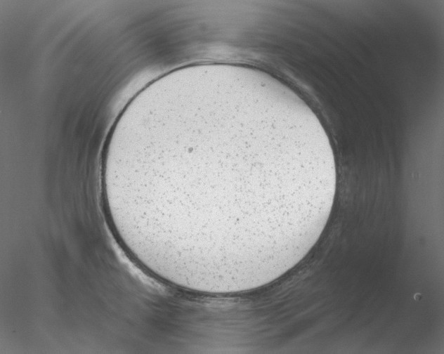 X0000076381479200611031616