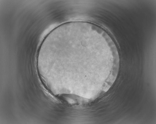 X0000076381480200611031616