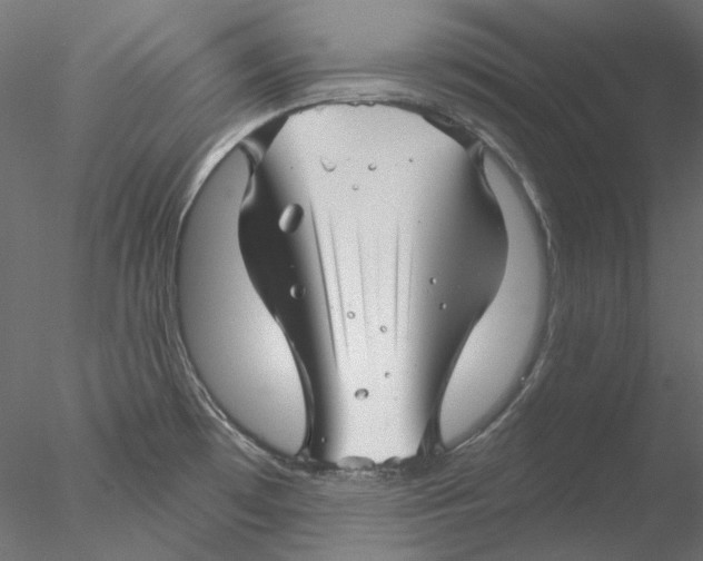 X0000076381481200611031616