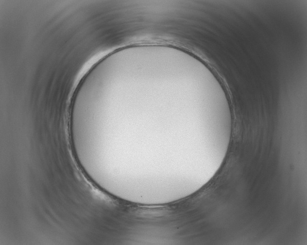 X0000076381486200611031616