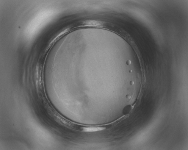 X0000076381487200611031616