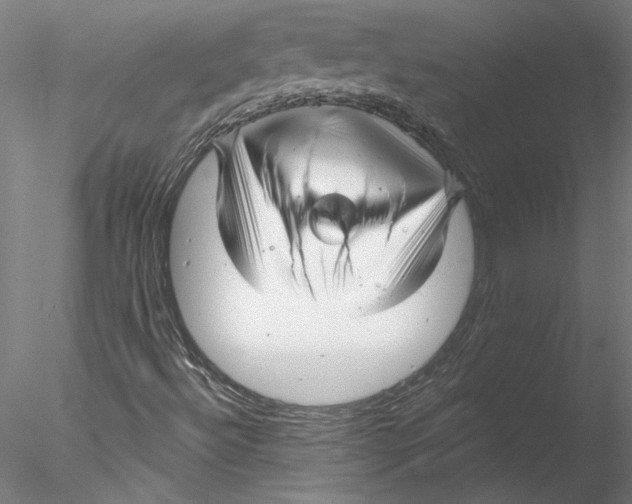 X0000076381492200611031616