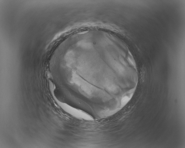 X0000076381494200611031616