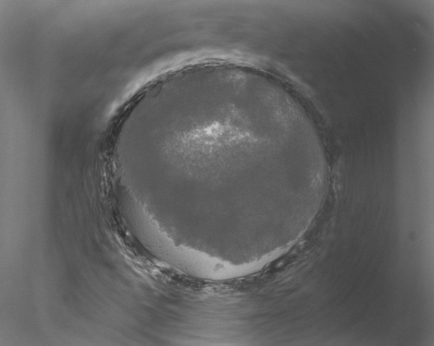 X0000076381496200611031616