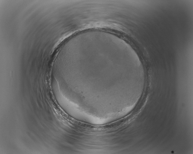 X0000076381497200611031616