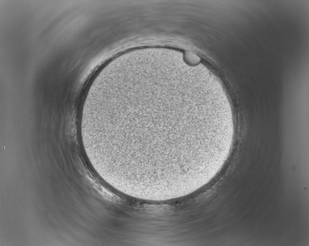 X0000076381498200611031616