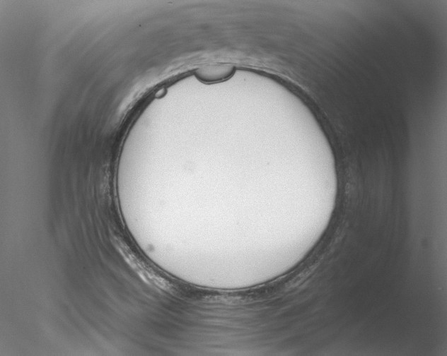 X0000076381499200611031616