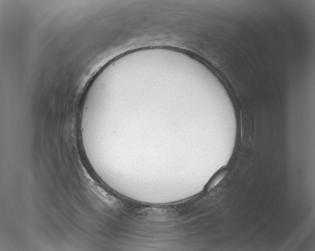 X0000076381500200611031616