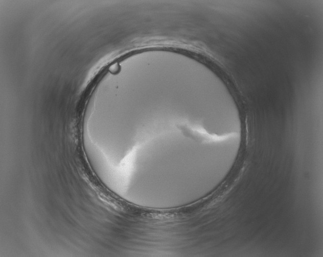 X0000076381501200611031616