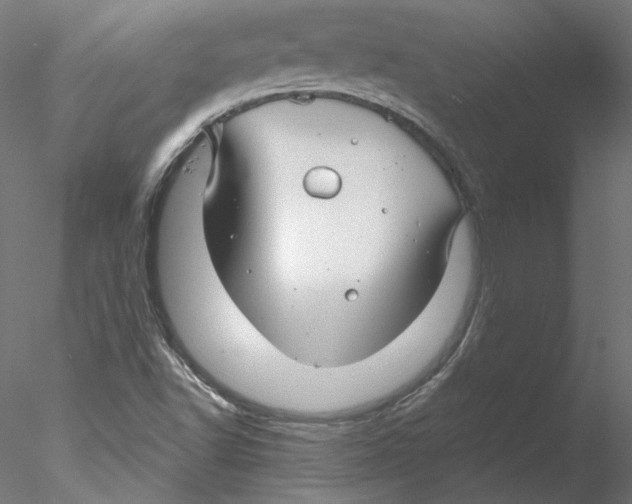 X0000076381502200611031616