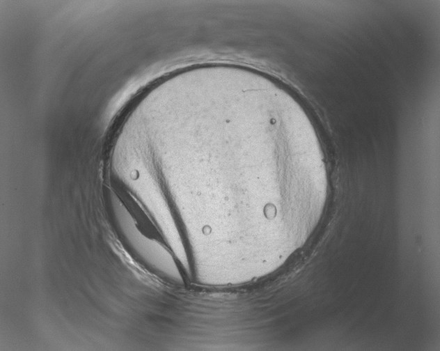 X0000076381503200611031616