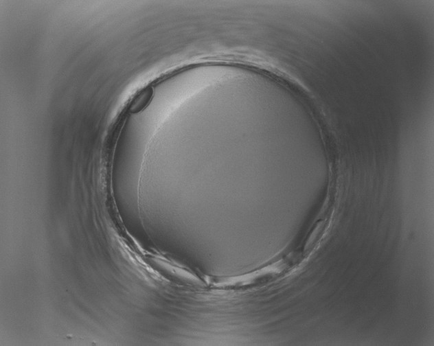 X0000076381506200611031616