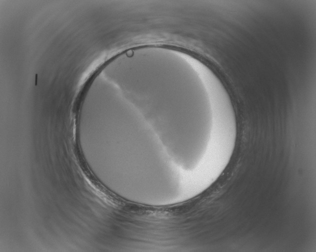 X0000076381509200611031616