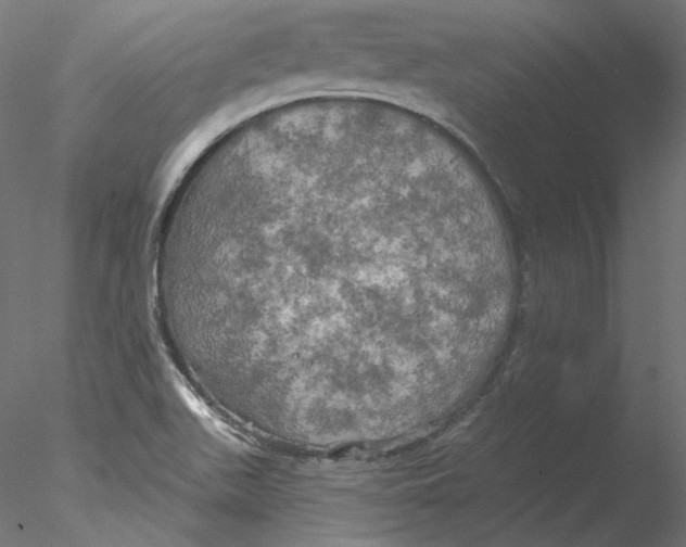 X0000076381511200611031616