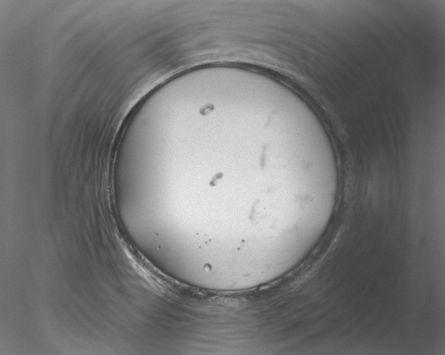 X0000076381513200611031616