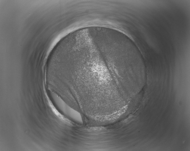 X0000076381515200611031616