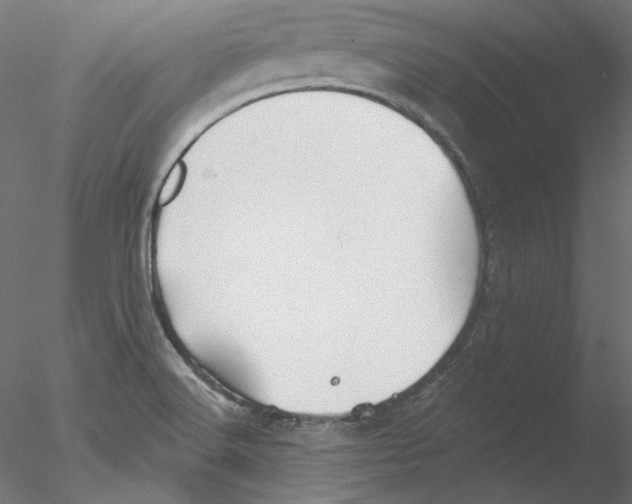 X0000076381516200611031616