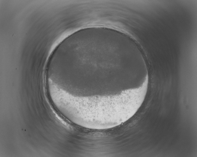 X0000076381517200611031616