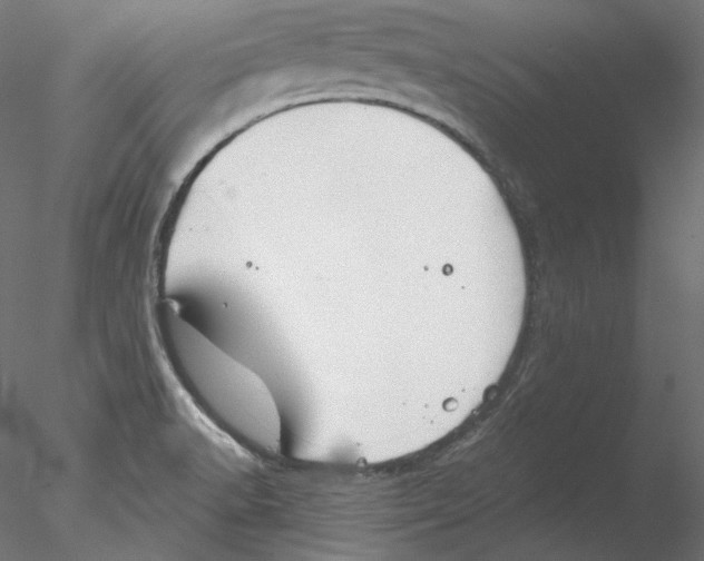 X0000076381518200611031616