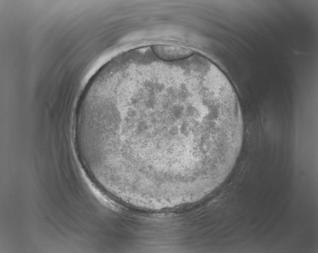 X0000076381523200611031616