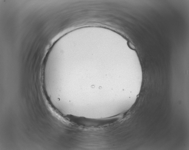 X0000076381526200611031616