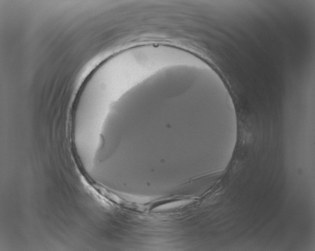 X0000076381527200611031616