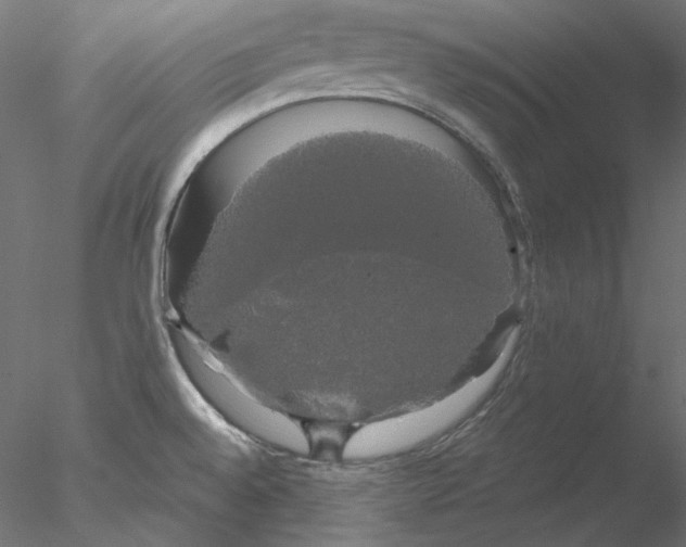 X0000076381528200611031616